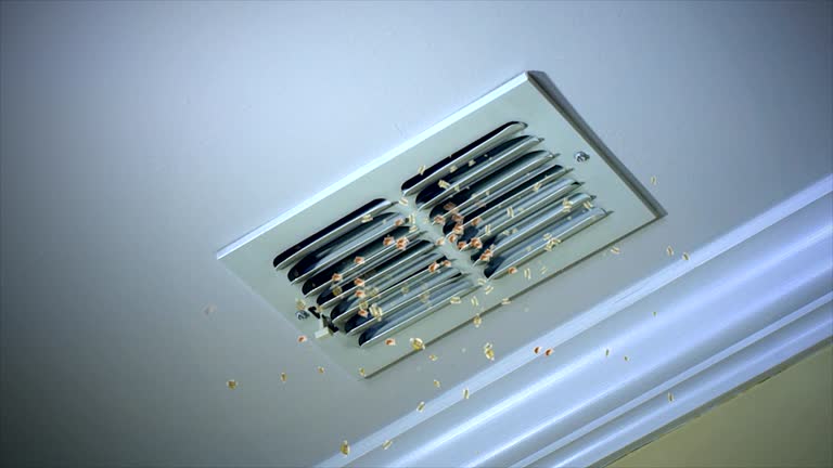 Best Professional Duct Cleaning Services  in Augusta, AR
