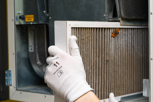 Best Affordable Air Duct Cleaning  in Augusta, AR